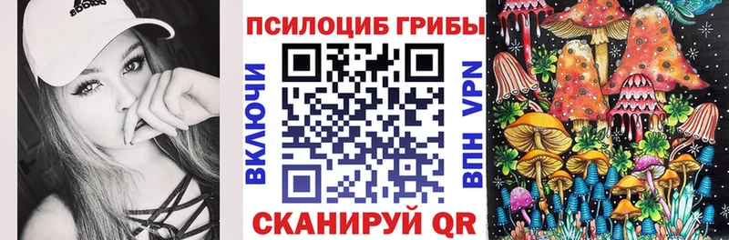 Псилоцибиновые грибы Magic Shrooms  даркнет как зайти  Зеленогорск 
